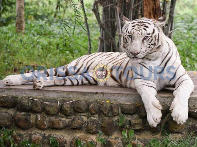Nandankanan Zoological Park