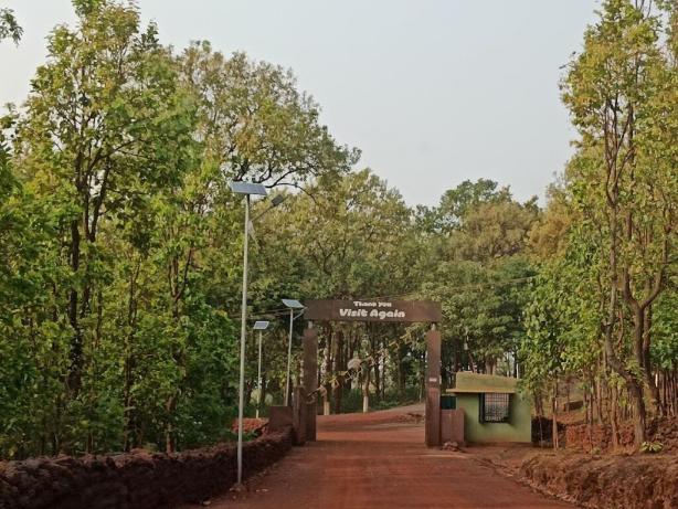 Tensa hill station, nature camp, rourkela, sundargarh, odisha 3 Tensa hill station