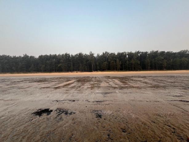 Bagda sea beach, eco resort, dublagadi, balasore 1 Bagda sea beach, eco resort, dublagadi, balasore