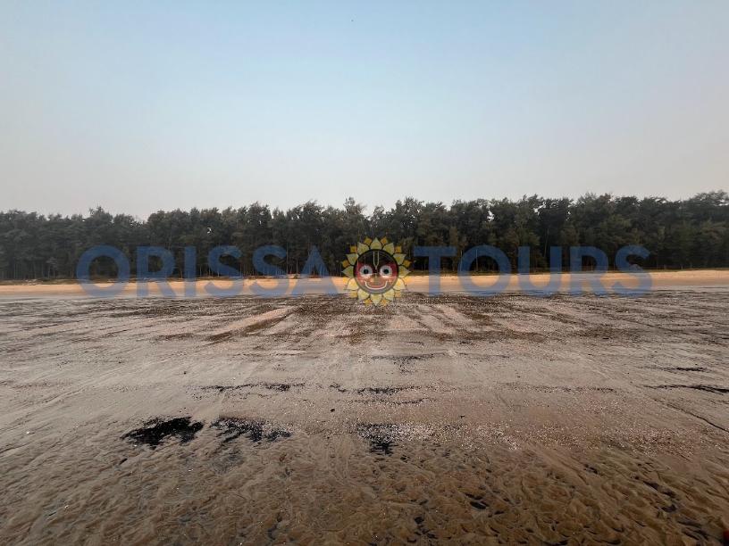 Bagda Sea Beach, Eco Resort, Dublagadi, Balasore