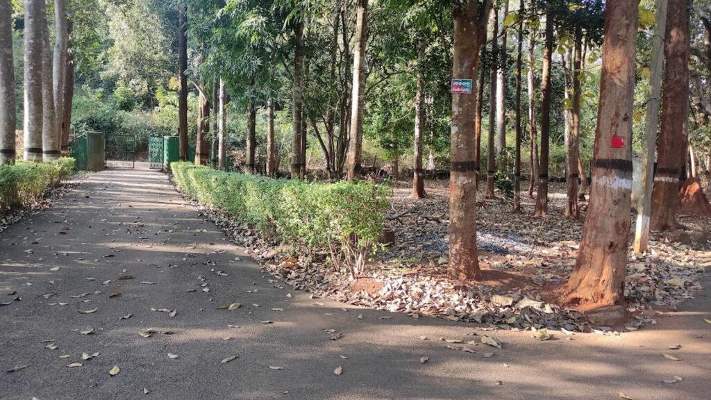 Belghar nature camp, daringbadi, kandhamal, odisha