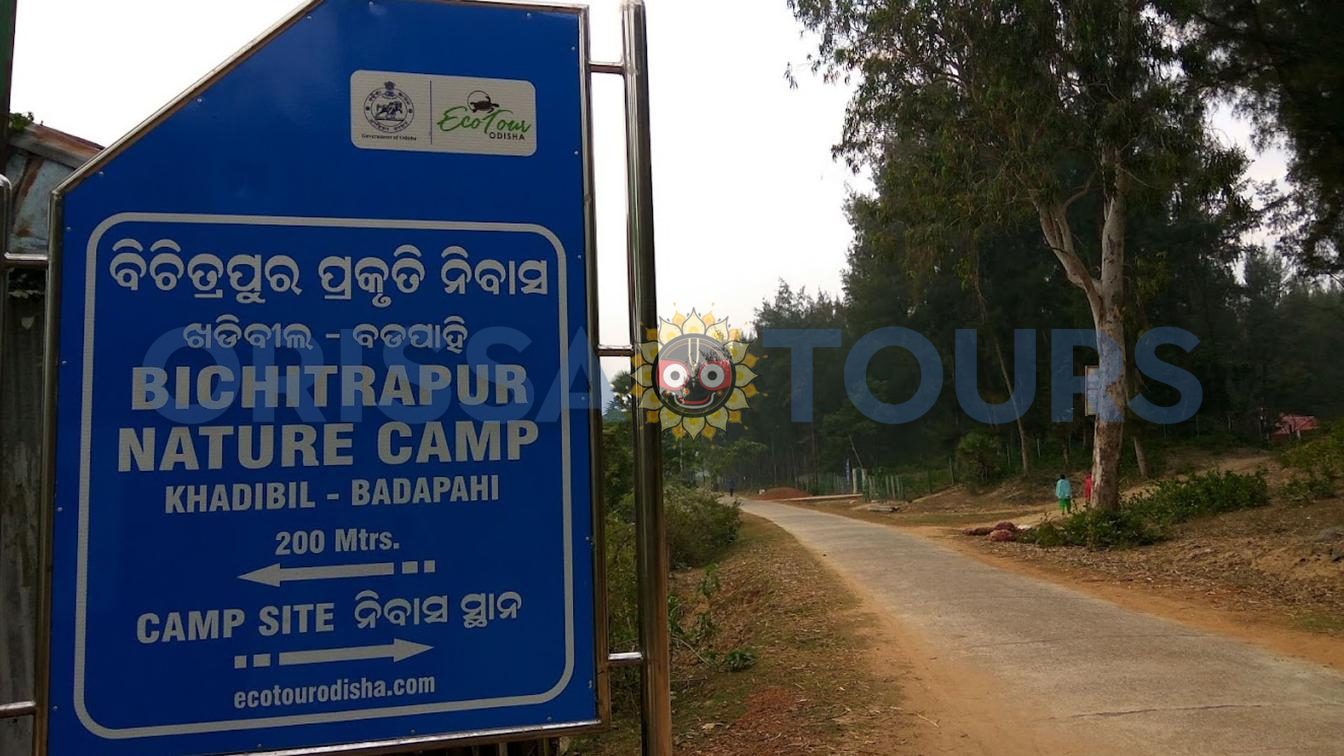 Bichitrapur Nature Camp, Mangrove Sanctuary, Balasore, Odisha