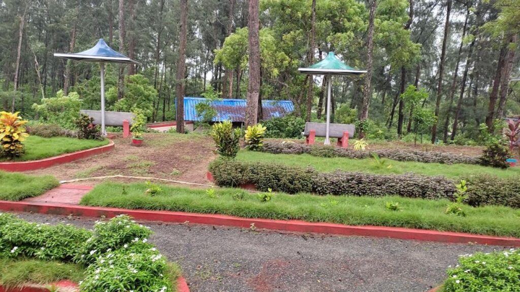 Bichitrapur nature camp, mangrove sanctuary, balasore, odisha