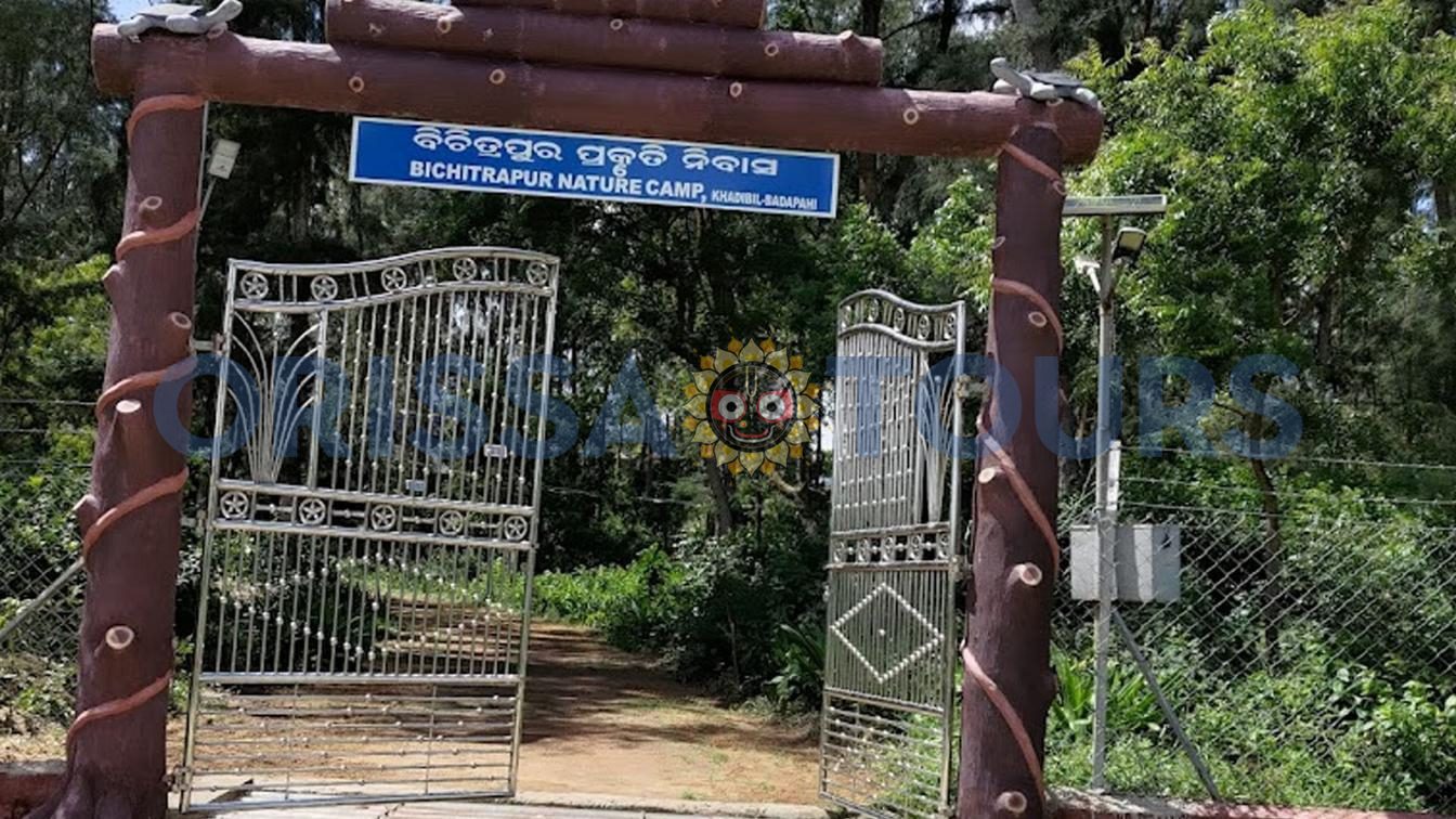 Bichitrapur Nature Camp, Mangrove Sanctuary, Balasore, Odisha