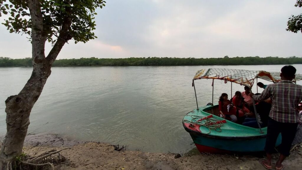 Bichitrapur nature camp, mangrove sanctuary, balasore, odisha
