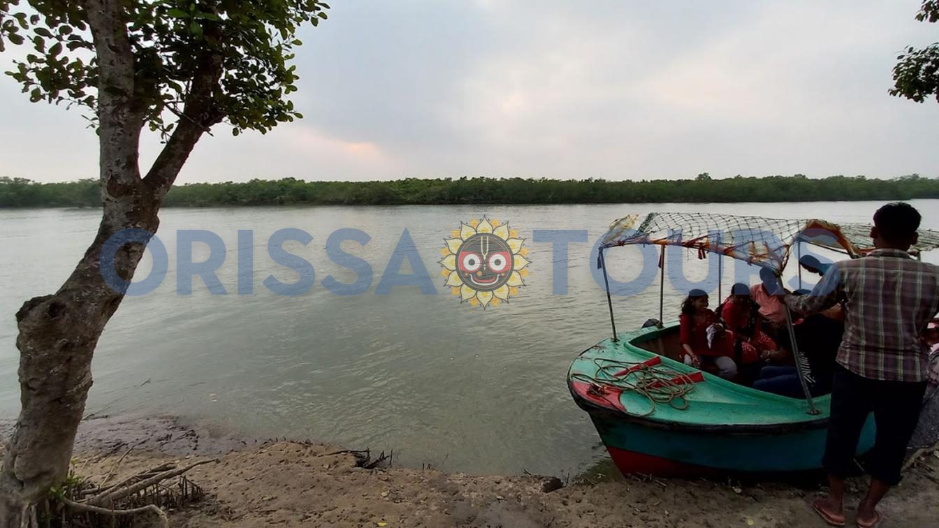Bichitrapur Nature Camp, Mangrove Sanctuary, Balasore, Odisha