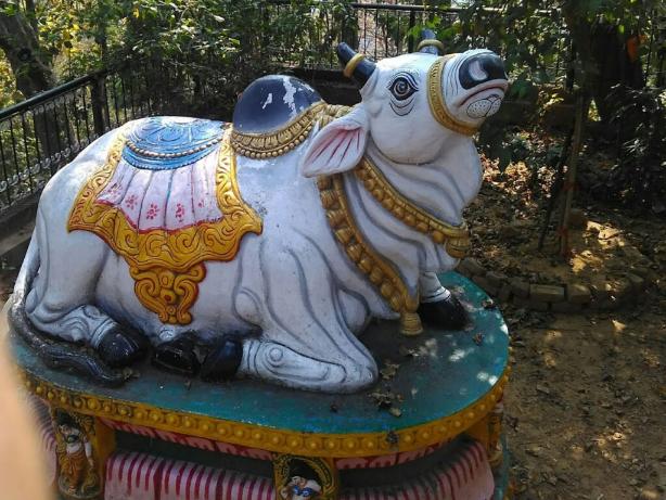 Budharaja temple, budharaja hill, sambalpur, odisha 2 Budharaja temple