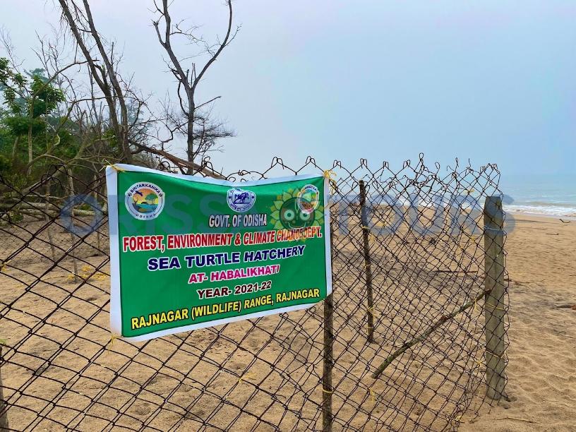 Habalikhati Sea Beach, Nature Camp, Kendrapara, Odisha