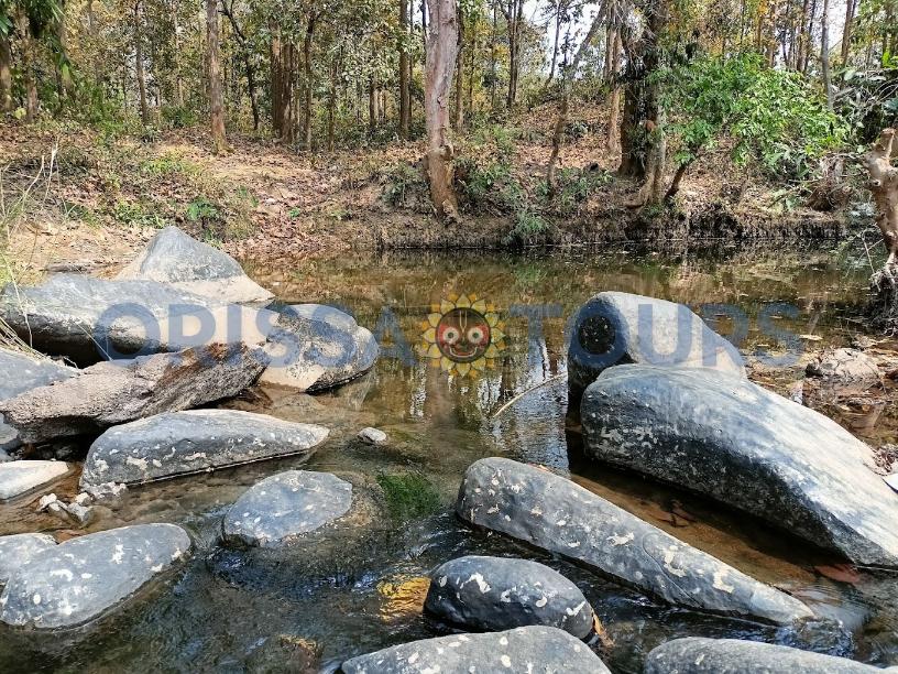 Kapadgadi Waterfall (କପଡଗଡି ଜଳପ୍ରପାତ)