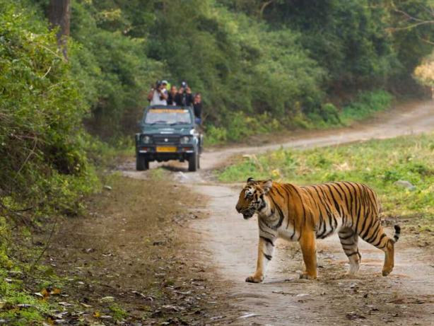 Kuturi park & kuanria deer park, dasapalla, nayagarh, odisha