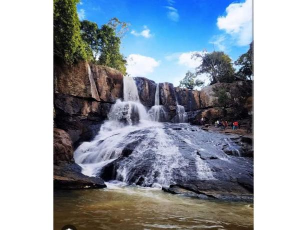 Kotgarh wildlife sanctuary