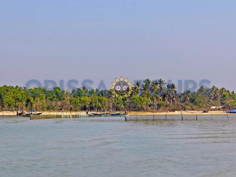 Rajhans Nature Camp Island