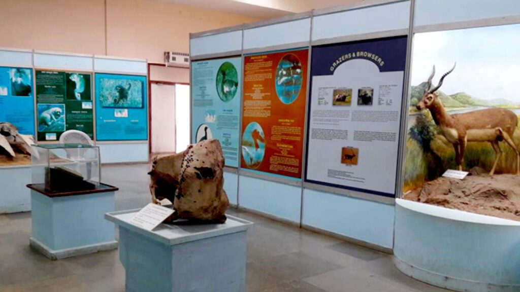 Regional Museum of Natural History, Bhubaneswar, Odisha
