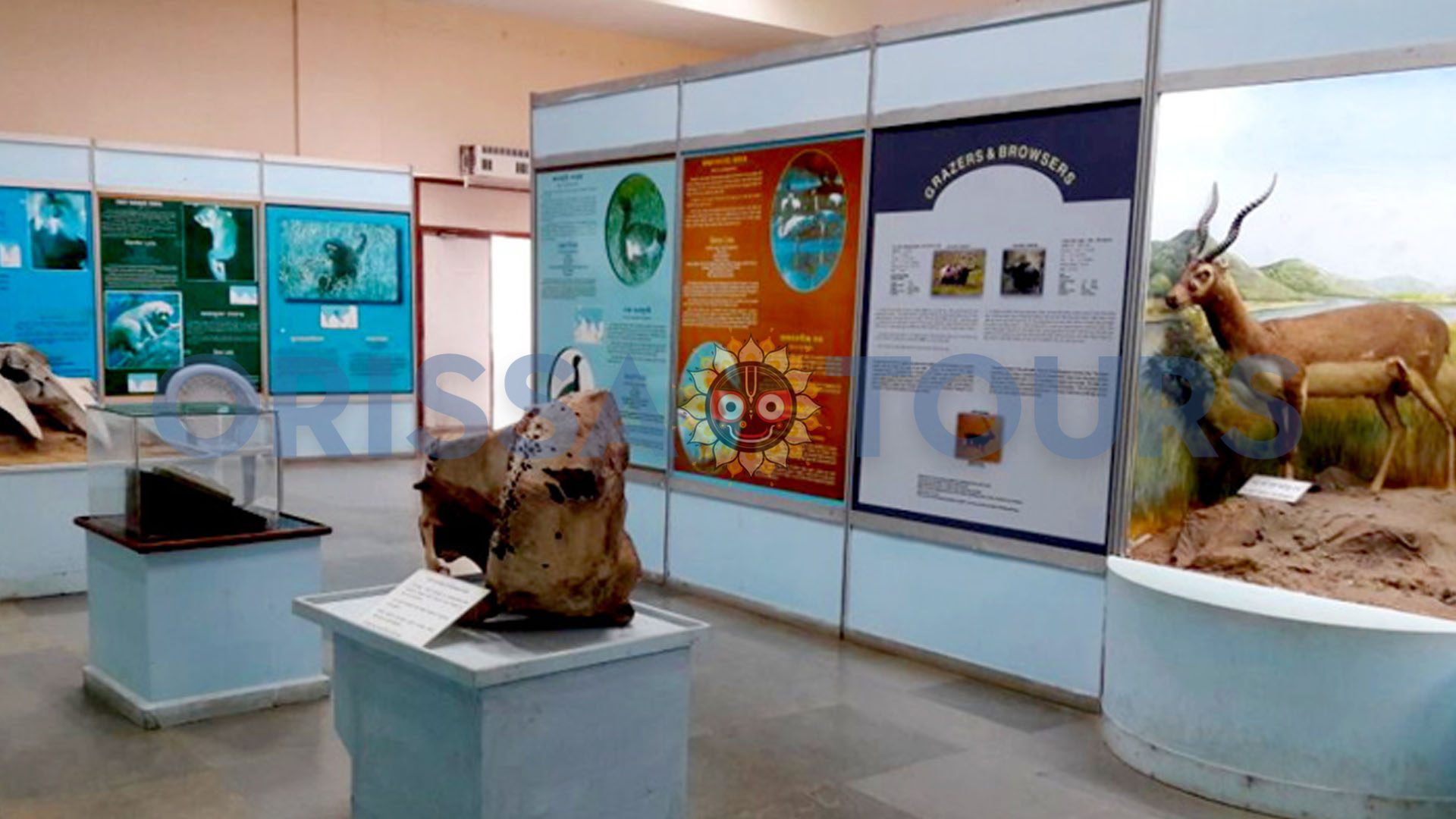 Regional Museum of Natural History, Bhubaneswar, Odisha