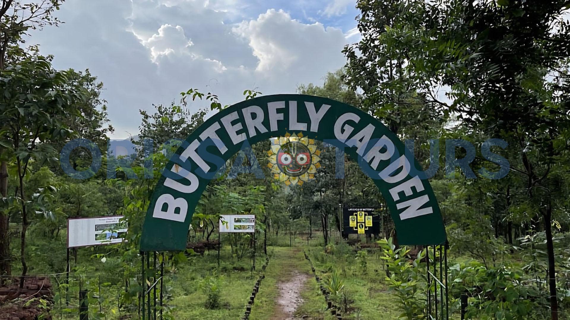 Tensa Nature Camp, Hill Station, Rourkela, Sundargarh, Odisha