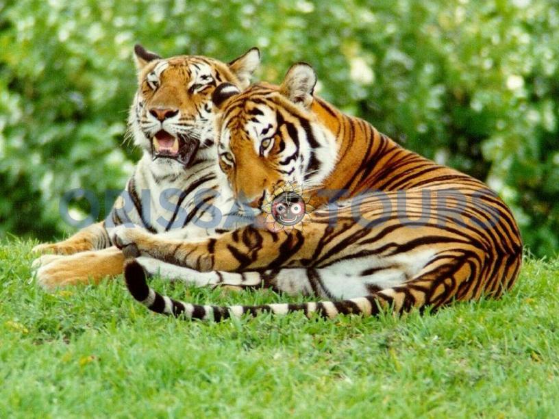 Turekela Wildlife Sanctuary