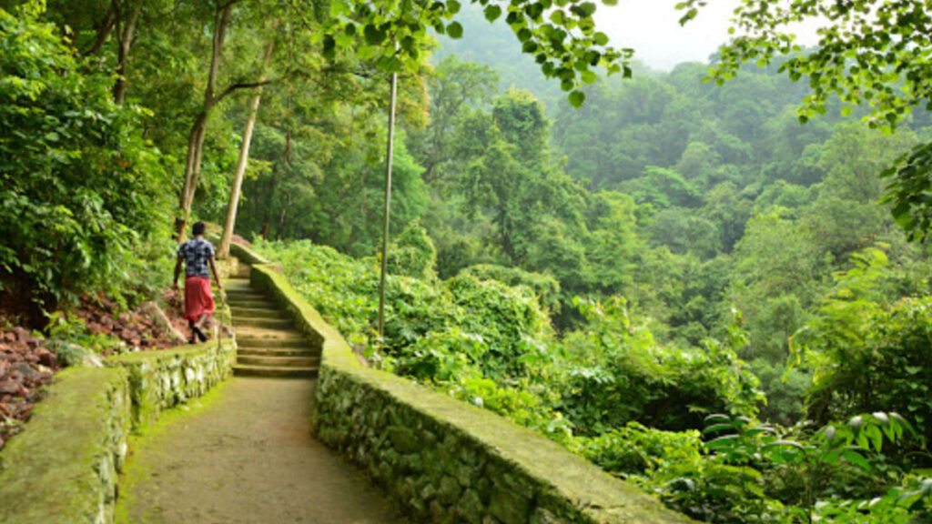 Khandadhar nature camp & waterfall, rourkela, sundargarh, odisha