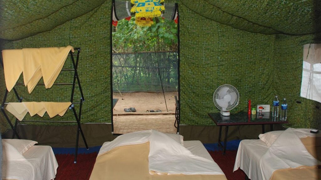 Bhitarkanika nature camp, raj nagar, bhubaneswar, odisha