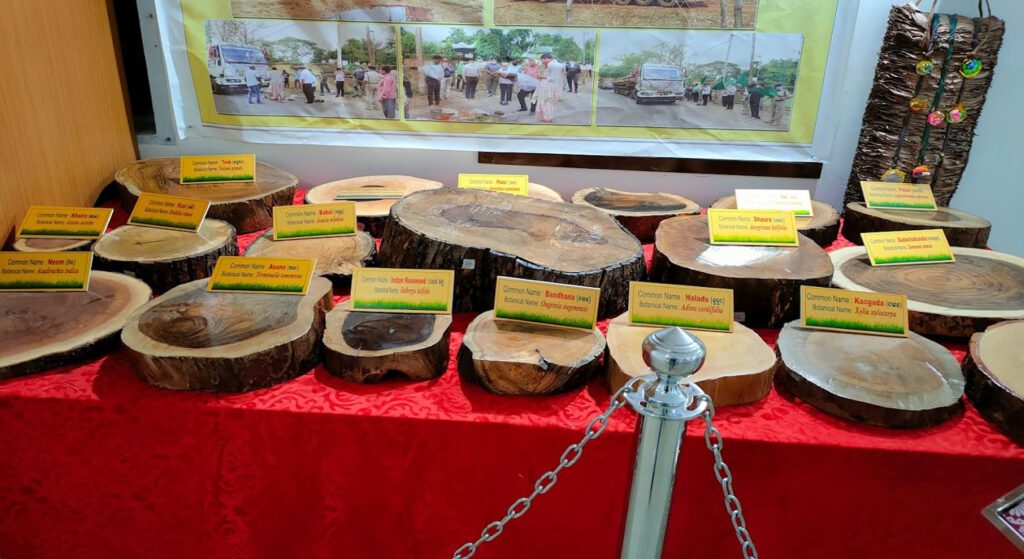 Boudh bauda museum, baudhgarh, palasa, odisha