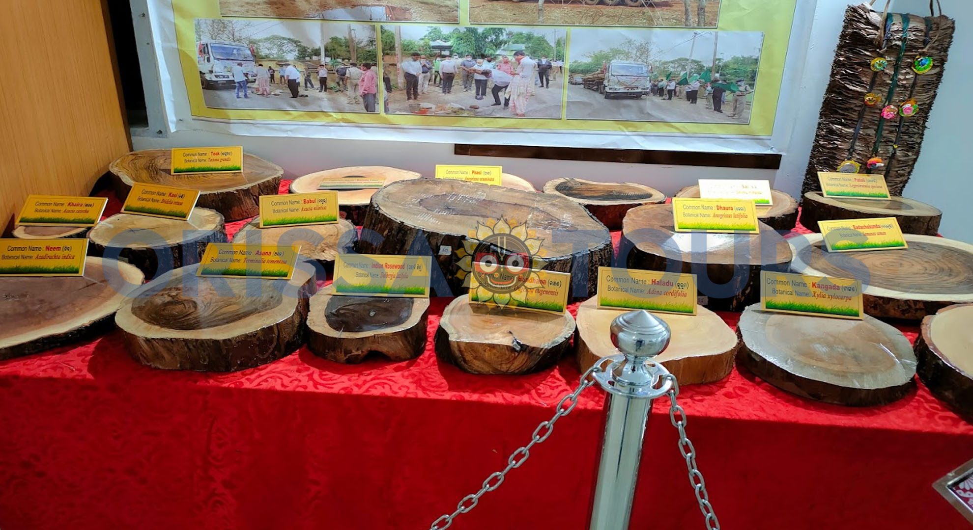 Boudh Bauda Museum, Baudhgarh, Palasa, Odisha