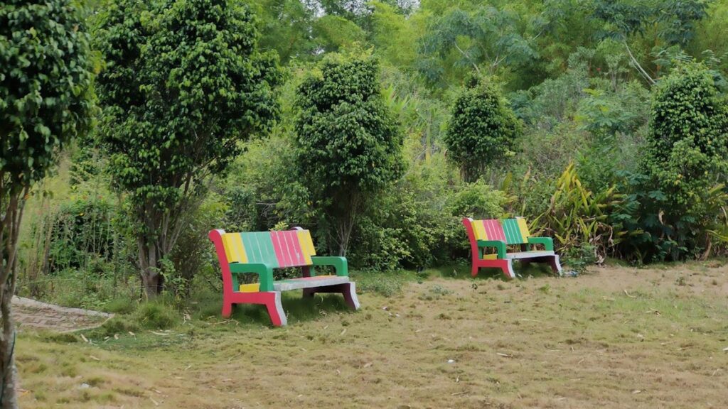 Phulbani nature camp, mulagudari, odisha