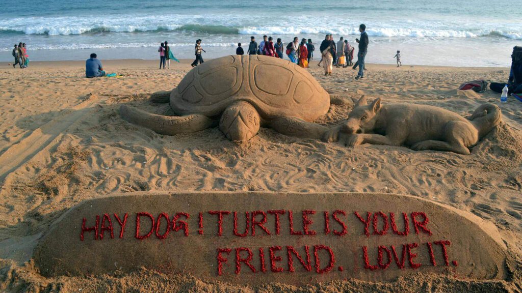 Carnival puri beach festival, odisha