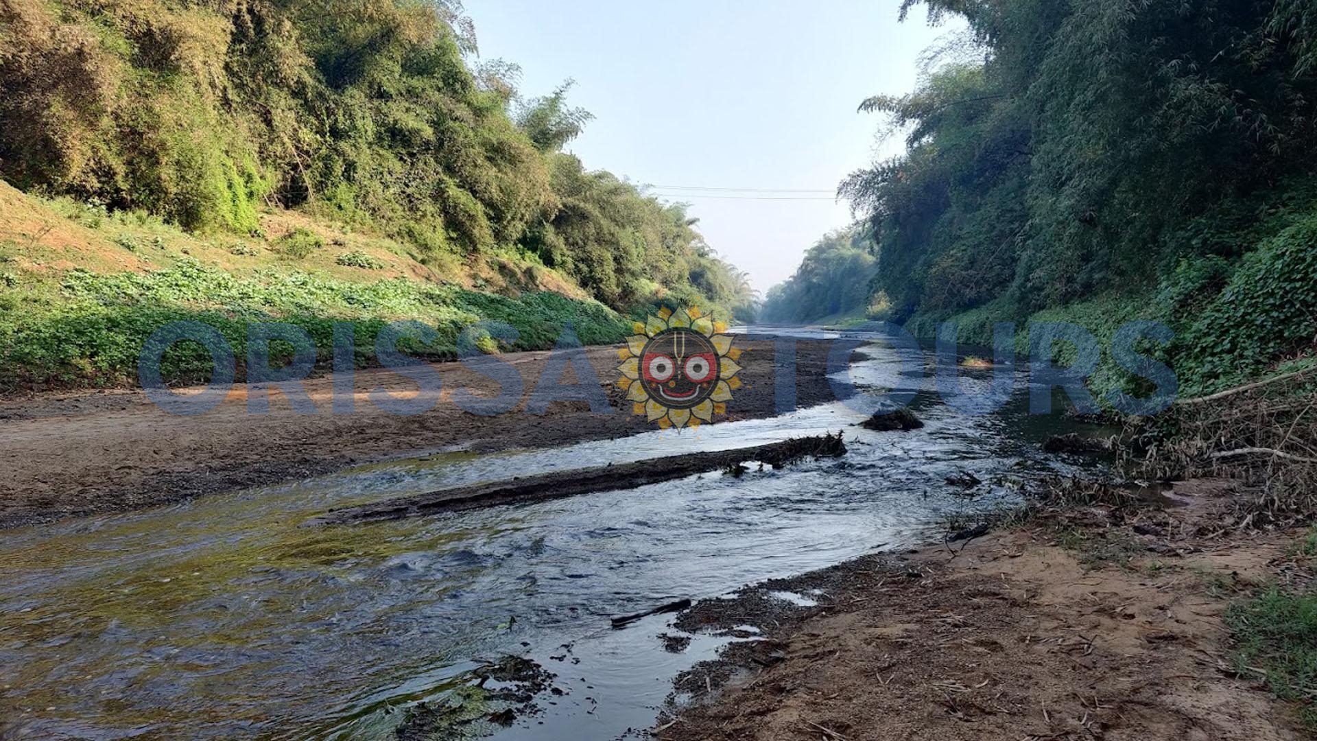 Satkosia Nature Camp, Tikarpada, Bhubaneswar, Odisha