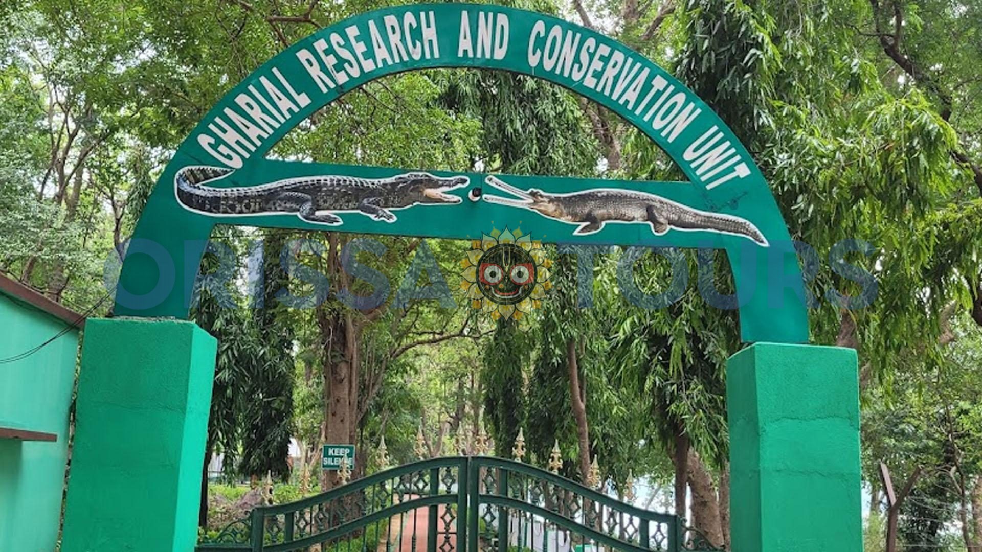 Satkosia Nature Camp, Tikarpada, Bhubaneswar, Odisha
