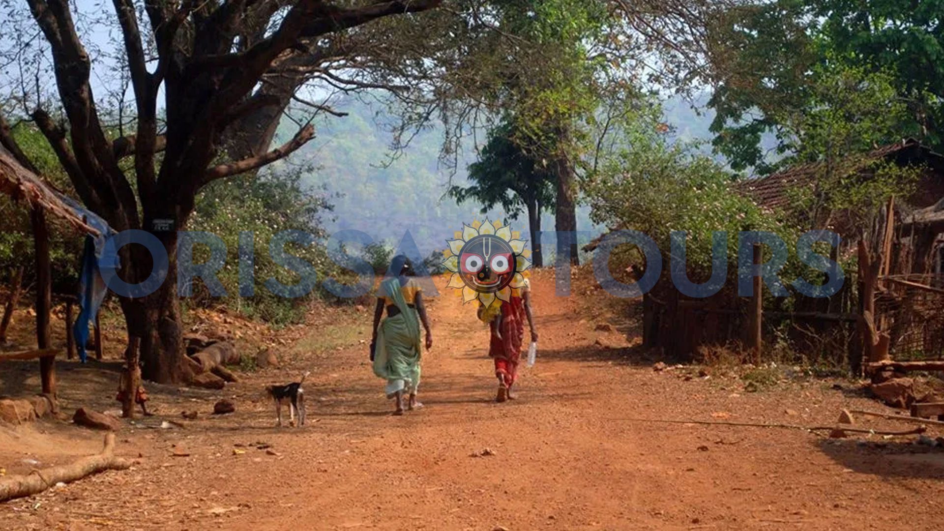 Similipal Nature Camps, Similipal Wildlife, Similipal, Odisha