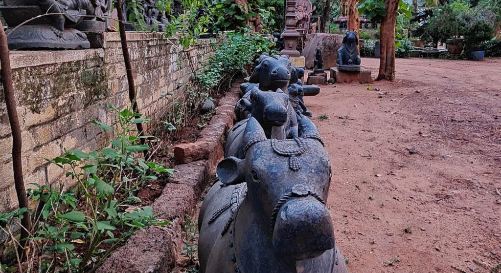 Sudarshan art and crafts, jayadev vihar, bhubaneswar, odisha 3 Sudarshan art and crafts, jayadev vihar, bhubaneswar, odisha