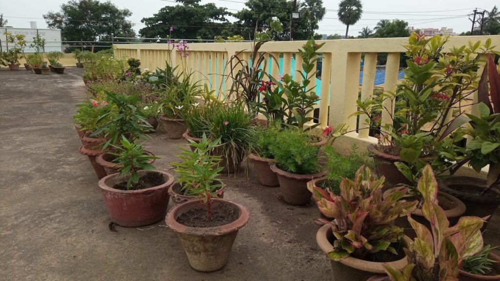 Sudarshan crafts museum puri, odisha