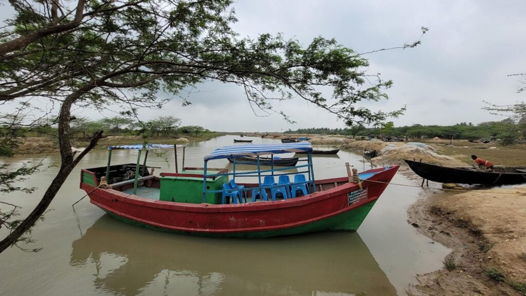 Bichitrapur mangrove sanctuary, nature camp, balasore, odisha