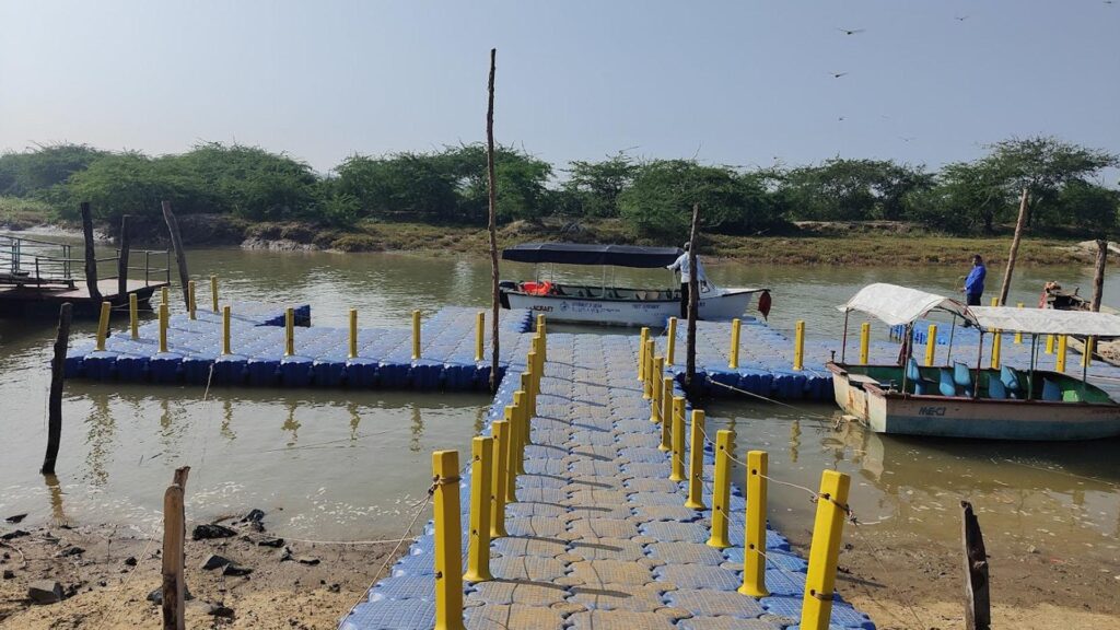 Bichitrapur mangrove sanctuary, nature camp, balasore, odisha