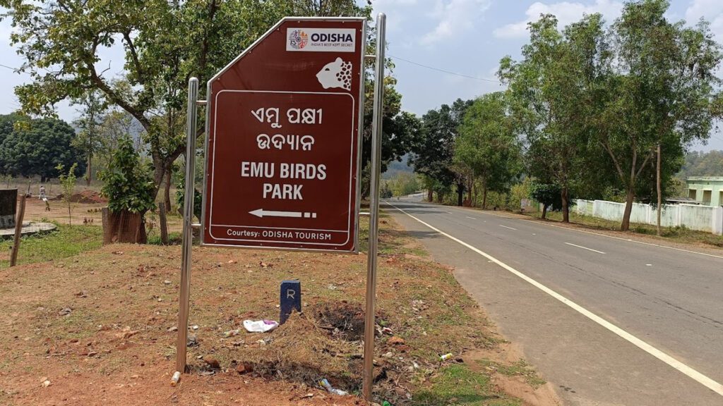 Emu farm sanctuary, kirikuti, daringbadi, kandhamal, odisha