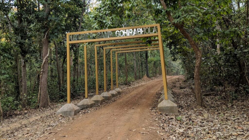 Kuldiha wildlife sanctuary, balasore, odisha