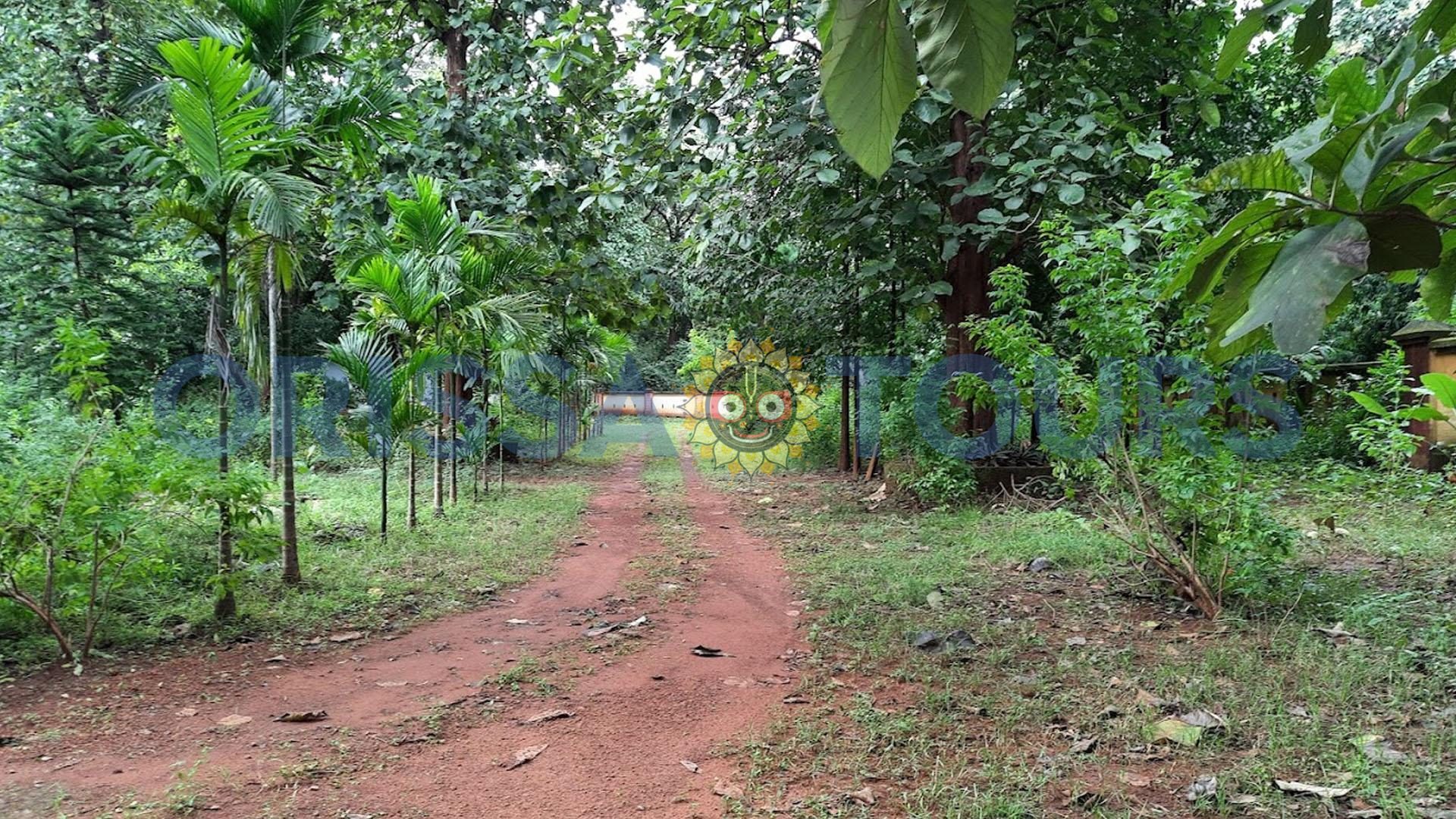 Saptasajya Nature Camp in Dhenkanal, Bhubaneswar, Odisha