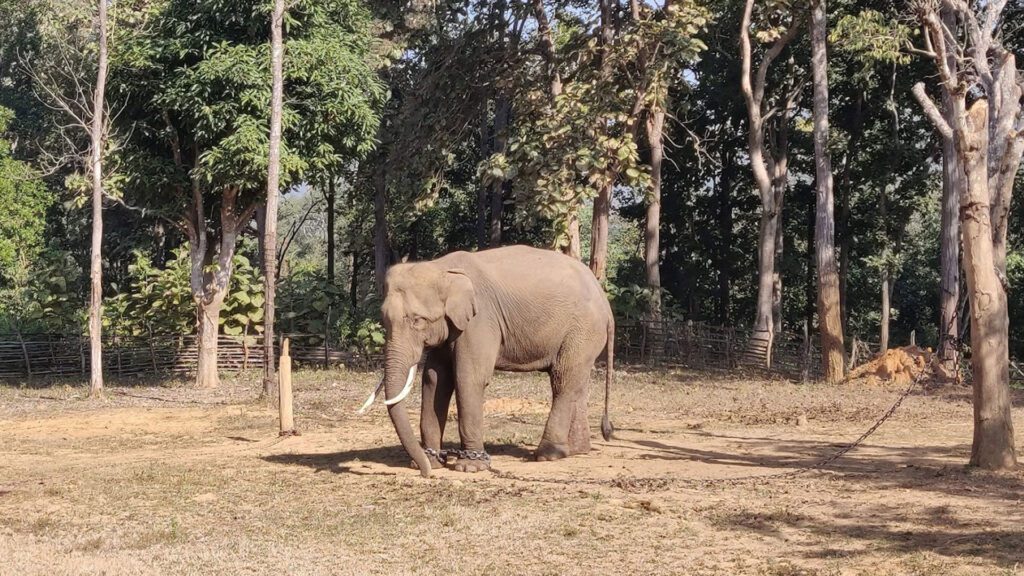 Bhitarkanika national park, kendrapar ,odisha 2 Bhitarkanika national park, kendrapar ,odisha