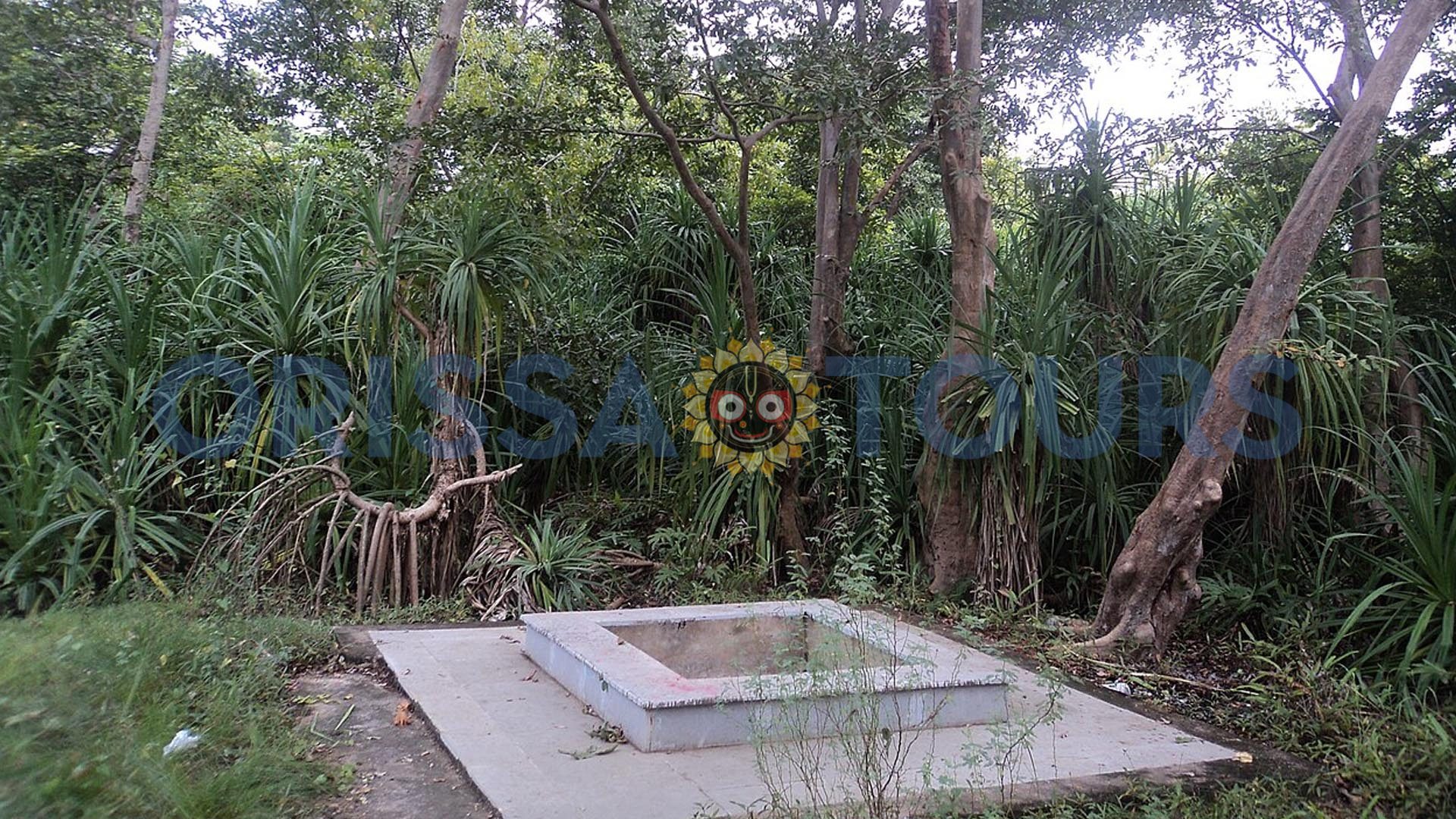 Deulajhari Celestial Hot Spring, Angul, Odisha