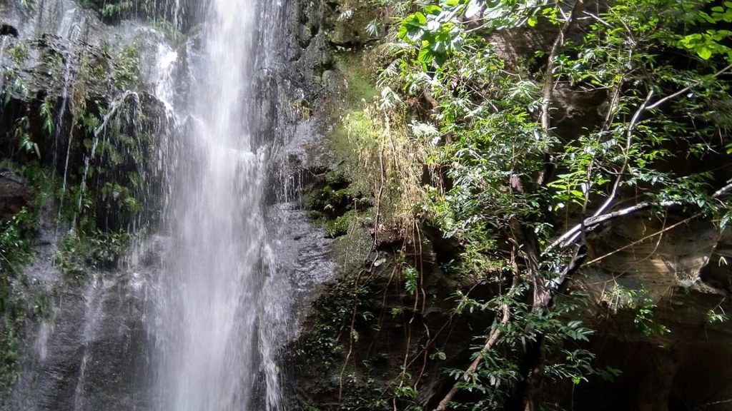 Sureswari waterfall, bampur forest, angul, odisha