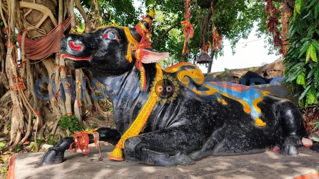 Dhabaleswar temple, athagarh, cuttack, odisha 2 Dhabaleswar temple, athagarh, cuttack, odisha