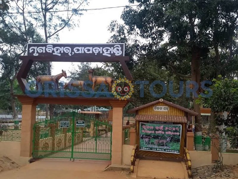 Ambapani Wildlife Sanctuary, Kalahandi, Odisha