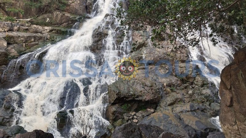 Ambapani Wildlife Sanctuary, Biriman, Odisha