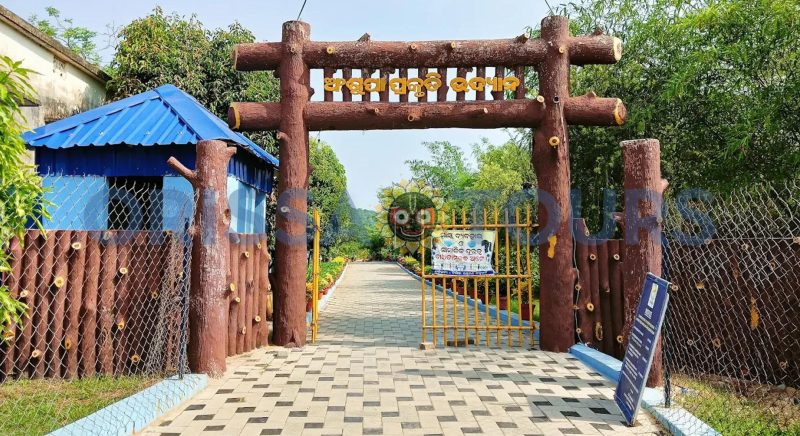 Ansupa Lake & Nature Camp, Cuttack, Odisha
