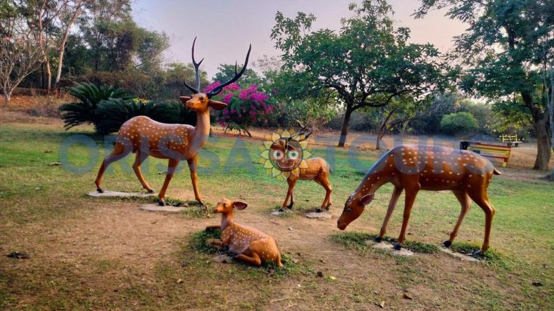 Ansupa Nature Camp & Lake, Cuttack, Odisha
