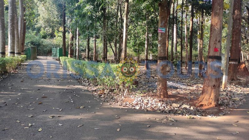 Belghar Nature Camp, Daringbadi, Kandhamal, Odisha