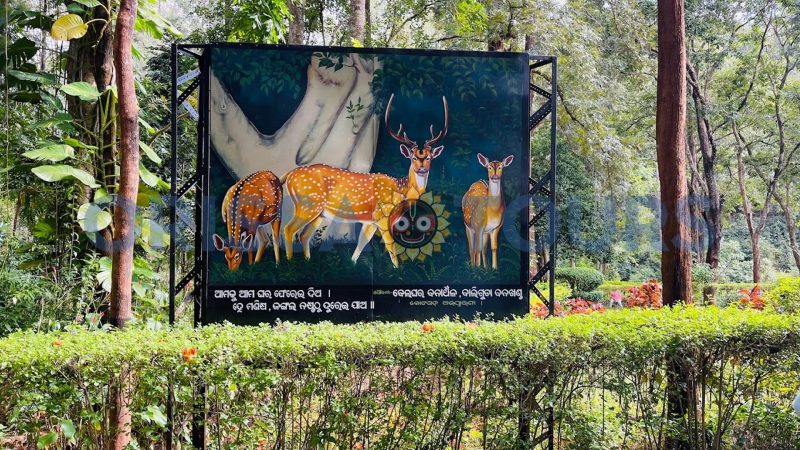 Belghar Nature Camp, Daringbadi, Kandhamal, Odisha