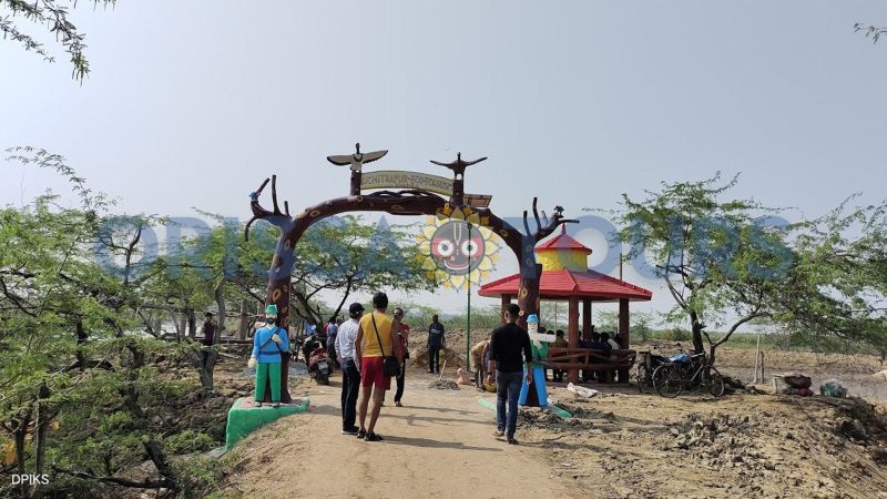 Bichitrapur Mangrove Sanctuary, Nature Camp, Balasore, Odisha