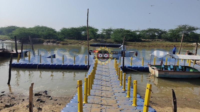Bichitrapur Mangrove Sanctuary, Nature Camp, Balasore, Odisha
