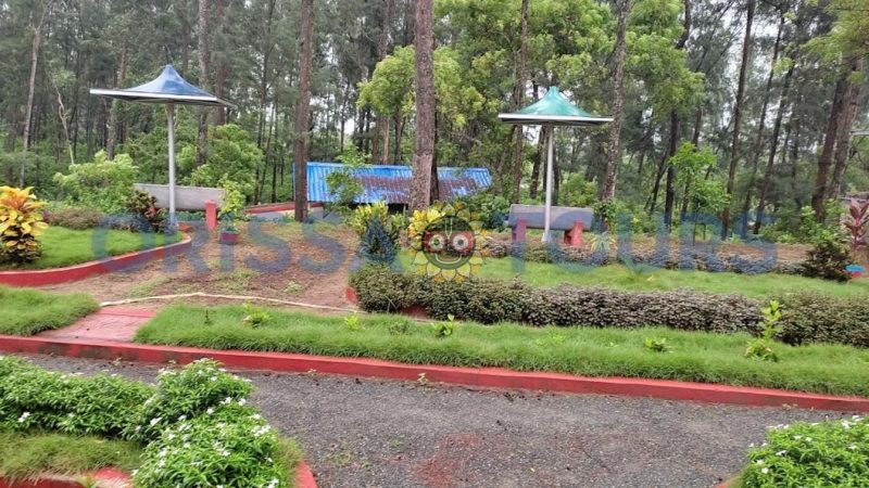Bichitrapur Nature Camp, Mangrove Sanctuary, Balasore, Odisha