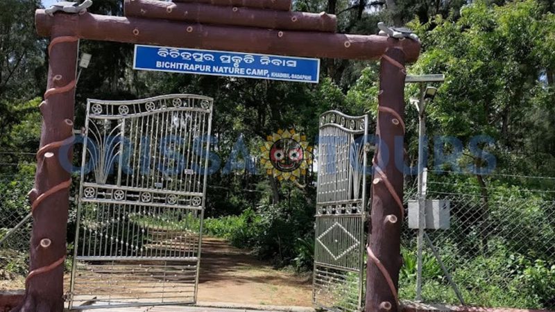 Bichitrapur Nature Camp, Mangrove Sanctuary, Balasore, Odisha